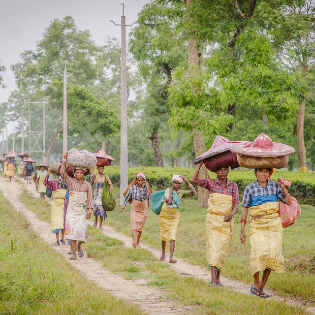 Dónde nos Enfocamos